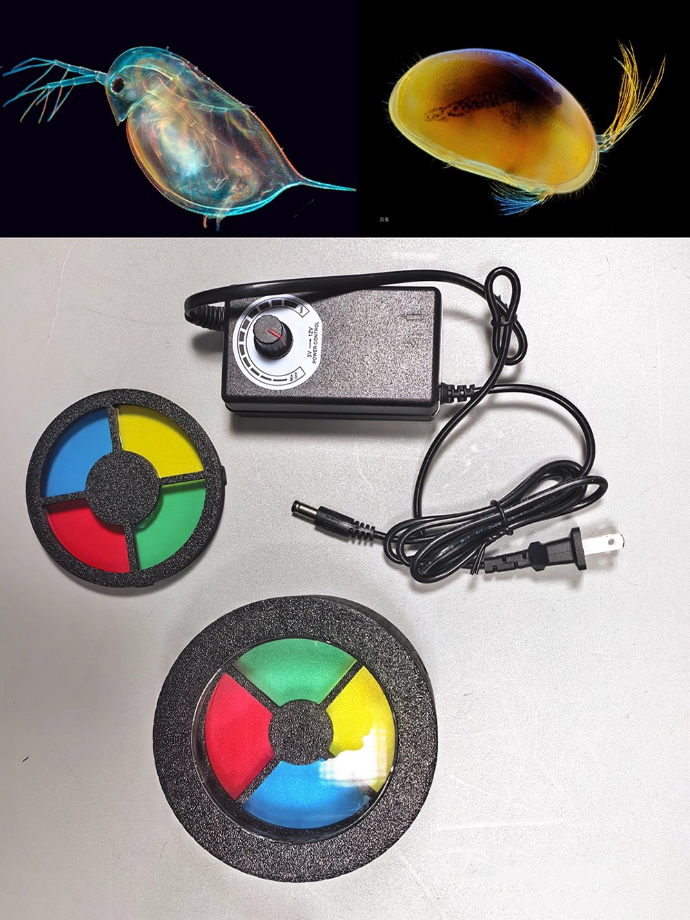 Lampa błyskowa do makrofotogra – Photography Lighting Diy recenzja i cena